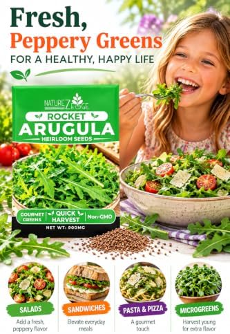 Arugula Seeds for Planting, 350 Arugula Rocket Seeds, Eat Arugula Fresh from Your Own Garden, High Germination, Heirloom Vegetable Varieties, Non-GMO - Image 4