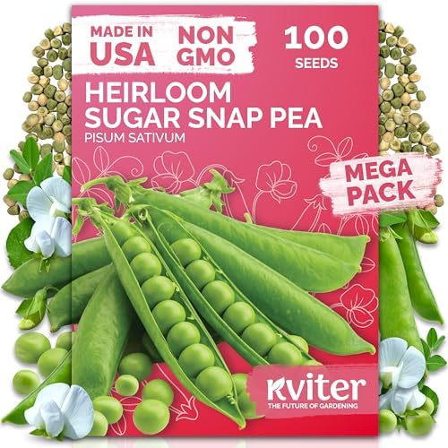 100 Sugar Snap Pea Heirloom Vegetable Seeds for Planting, Pisum Sativum by KVITER