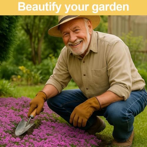 30000+ Purple Creeping Thyme Seeds, Thymus praecox Cover for Lawns & Garden - Image 4