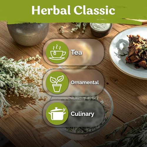 1,250 Wormwood Heirloom Herb Seeds for Planting, Artemisia Absinthium - Image 6