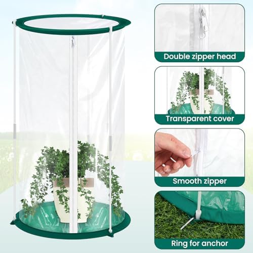 Nuanchu 2 Pieces Mini Greenhouse 19.7 x 10.2 Inch Portable Plant Flowers Mini Cover PVC Clear Greenhouse for Indoor Outdoor Gardening - Image 5