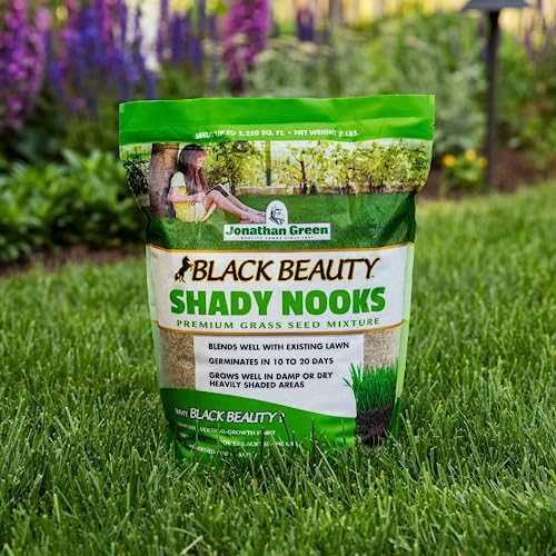 Jonathan Green Black Beauty Shady Nooks Grass Seed - 3 lb - Image 6