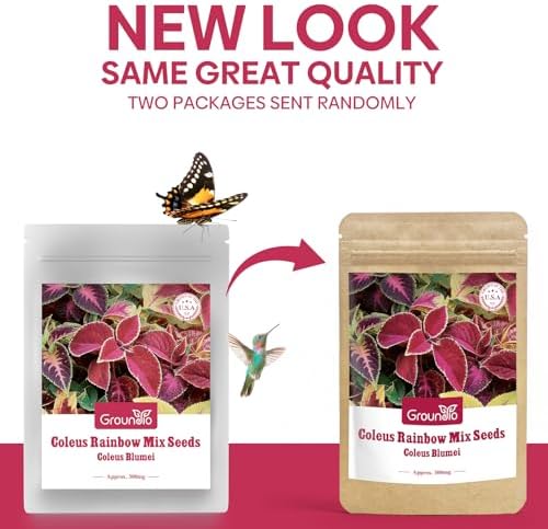 Groundio Coleus Rainbow Mix Seeds for Planting – Coleus Colorful Flower Seeds, Non-GMO Heirloom Seeds for Outdoor & Indoor Garden, Containers, Borders, Patios (Coleus scutellarioides) - Image 2