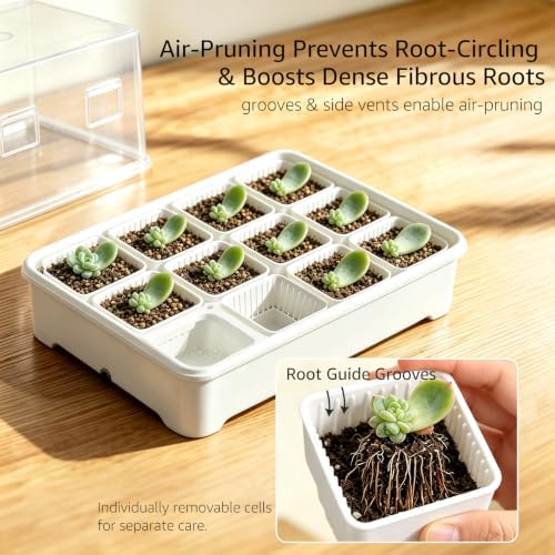 Seed Starter Tray Kit with Adjustable-Vent Humidity Dome & Air‑Pruning Cells, Reusable Plant Germination Trays with Superior Air & Drainage, Removable Cells for Flexible Transplanting, 12‑Cell - Image 4