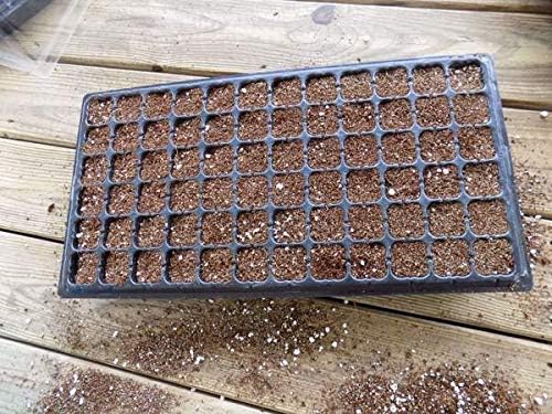 Bootstrap Farmer 50 Cell Seed Starting Trays Extra Strength, 5 Pack, Seedling Tray 1020 Inserts - Image 4