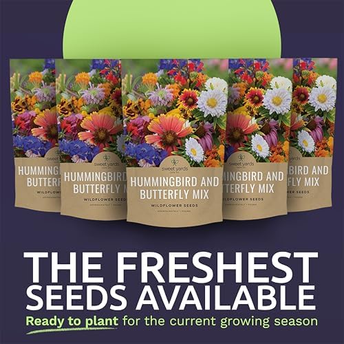Bulk Wildflower Seeds Butterfly and Humming Bird Mix - 5 Pounds - Over 600,000 Open Pollinated Annual and Perennial Seeds - Image 2