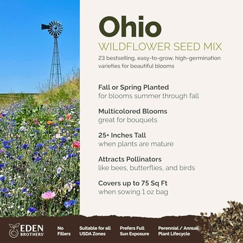 Eden Brothers Ohio Wildflower Mixed Seeds for Planting, 1 oz - Image 2