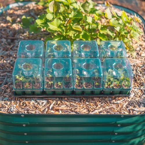Vego garden Seedling Tray Lids with Drip Irrigation, 32 Pack - Image 7