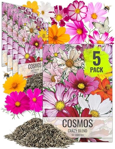 Seed Needs Flower Seeds Cosmos Original Crazy Mix (5 Bulk Packs) by SeedNeeds