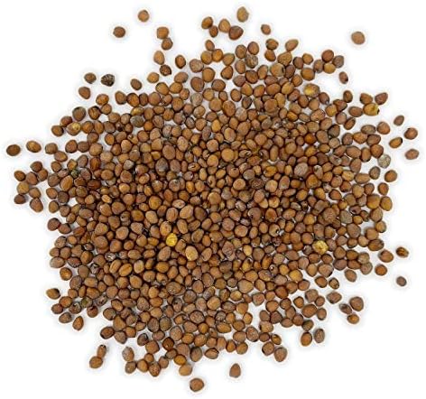The Old Farmer's Almanac Organic Radish Seeds (Cherry Belle) - Approx 400 Seeds - Certified Organic, Non-GMO, Open Pollinated, Heirloom, USA Origin - Image 2