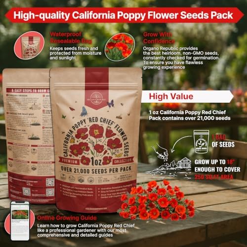 California Poppy Red Chief Seeds 1oz Over 21,000 Non-GMO Heirloom Eschscholzia californica Seeds for Planting, Individual Seed Packet, Planting Home Garden Indoor & Outdoor - Image 2