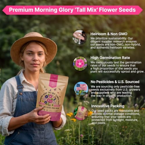 Morning Glory Tall Mix Seeds 1oz Over 800 Non-GMO Heirloom Ipomoea purpurea Seeds for Planting, Annual Flowers in Individual Packet, Planting Home Garden Indoor & Outdoor Gardening - Image 6