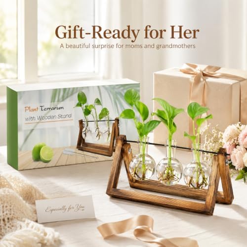 Plant Propagation Station, Plant Terrarium with Wooden Stand - Image 6