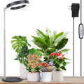 LORDEM Grow Light, Full Spectrum LED Desk Lamp for Plants by LORDEMLEDPlantGrowLight