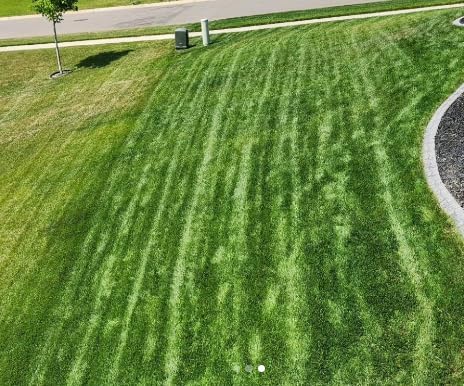 Sun & Shade Lawn Grass Seed Mixture, 25 lb - Image 3