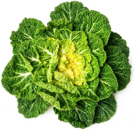 Korean Spring Cabbage Seeds (Bomdong) – Asian Leafy Vegetable for Home Gardens - Image 2