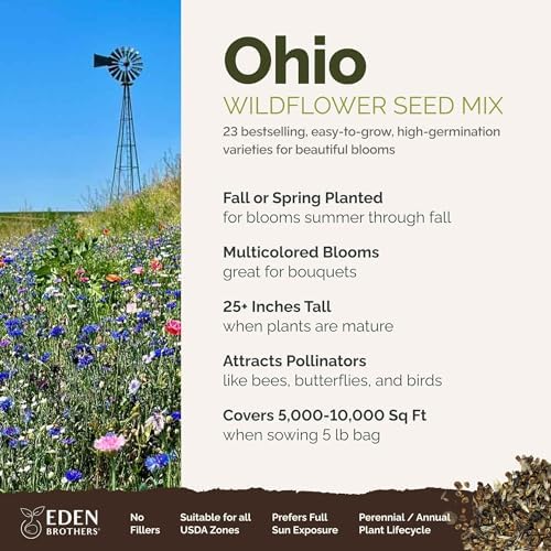 Eden Brothers Ohio Wildflower Mixed Seeds for Planting, 5 lbs - Image 2