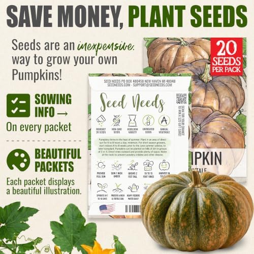 Seed Needs Fairytale Pumpkin Seeds to Plant Vegetables - 1 Pack - Image 3