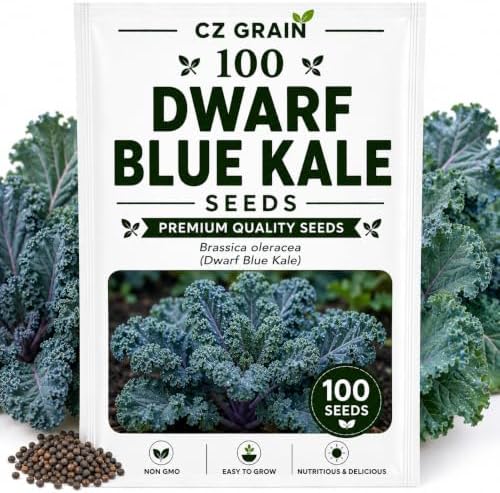 Dwarf Blue Kale Seeds for Planting | Cold Hardy Leafy Green | 100 Seeds by CZGrain