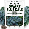 Dwarf Blue Kale Seeds for Planting | Cold Hardy Leafy Green | 100 Seeds by CZGrain