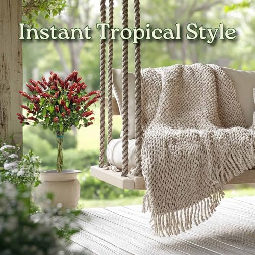 Braided Shrimp Tree - Red Flowers - Overall Height 36" to 42" - Tropical Plants of Florida (Plant Only) - Image 5