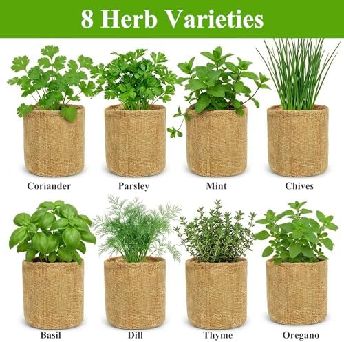 Indoor Herb Garden Kit, Culinary Herb Starter Kit with Seeds & Tools for Beginners, Kitchen Decor, House Warming Gifts for New Home, for Christmas, Ultimate Birthday Gifts for Women Men Mom Dad - Image 3