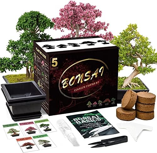 Meekear Bonsai Tree Kit with Complete Plant Growing Tools, Grow in Pot Indoor Bonsai Tree Starter Kit, Home Gardening DIY Gift for Adult by Meekear-BEWITHYOU