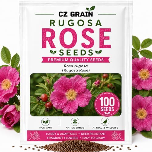 Rugosa Rose Seeds for Planting | 100 Seeds | Fragrant Pink Flowering Shrub by CZGrain