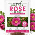 Rugosa Rose Seeds for Planting | 100 Seeds | Fragrant Pink Flowering Shrub by CZGrain