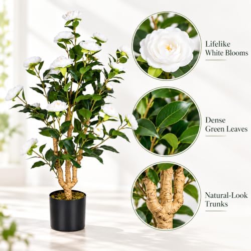 2 Pack 3FT Artificial Camellia Trees in Pots, White Flowers - Image 2