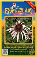 Everwilde Farms - 300 Pale Purple Coneflower Native Wildflower Seeds - Gold Vault Jumbo Seed Packet by Everwilde+Farms