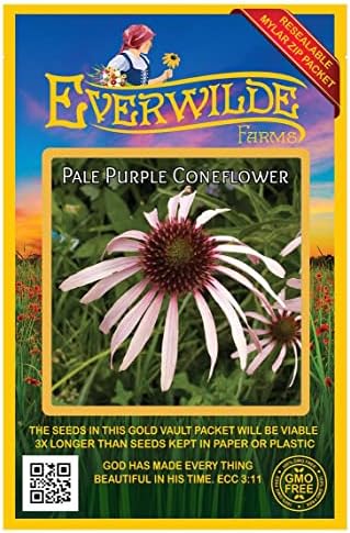 Everwilde Farms - 300 Pale Purple Coneflower Native Wildflower Seeds - Gold Vault Jumbo Seed Packet by Everwilde+Farms