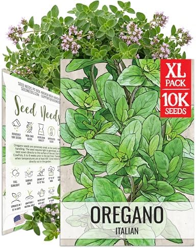 Seed Needs Italian Oregano Seeds to Plant Non-GMO & Heirloom Herbs XL Pack by SeedNeeds