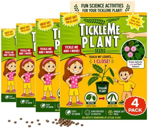 Seeds 4-Pack –Grow Real Plants that Close When Touched by TickleMePlantandZOMBIEPLANTProducts