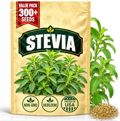 Stevia Seeds for Planting, Stevia rebaudiana, Heirloom Non-GMO Sweet Leaf Herb Seeds, High Germination Perennial Culinary Herb for Kitchen Gardens Containers and Patio Pots, 300 Count by WilyFox