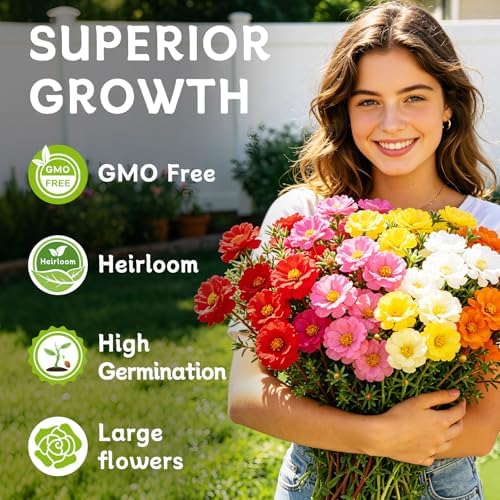 Moss Rose Seeds, 10,000+ Bulk Flower Seeds for Planting Outdoors(99% Pure Live, Non-GMO), Mixed Colors and Large Blooms, Attracts Pollinators, Easy to Grow - Image 3