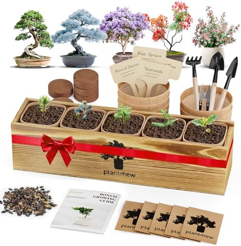 Bonsai Tree Kit for Beginners - 5 Unique Japanese Bonsai Seeds, DIY Indoor Gardening Crafts for Adults | Valentine's, Mother's Day & Birthday Gifts for Women and Men | Complete Starter Kit with Tools by PLANTMEW