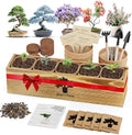 Bonsai Tree Kit for Beginners - 5 Unique Japanese Bonsai Seeds, DIY Indoor Gardening Crafts for Adults | Valentine's, Mother's Day & Birthday Gifts for Women and Men | Complete Starter Kit with Tools by PLANTMEW