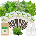 TitaniX Gourmet Herbs Seed Pod Kit Compatible with AeroGarden, Ahopegarden, iDoo, MUFGA Hydroponics Garden with Basil, Parsley, Mint, Thyme, Dill, Oregano, Cilantro,Indoor Garden Kit (7-Pod) by Unknown