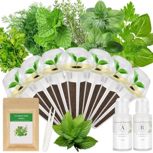 TitaniX Gourmet Herbs Seed Pod Kit Compatible with AeroGarden, Ahopegarden, iDoo, MUFGA Hydroponics Garden with Basil, Parsley, Mint, Thyme, Dill, Oregano, Cilantro,Indoor Garden Kit (7-Pod) by Unknown