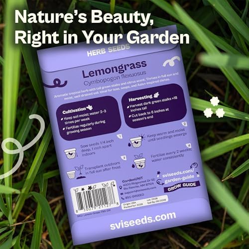 SVI 750 Lemongrass Seeds (Cymbopogon flexuosus) – West Indian Lemon Grass Seed Packets – Non GMO Heirloom Aromatic Culinary Herb Seeds for Containers, Outdoor & Indoor Herb Garden - Image 2
