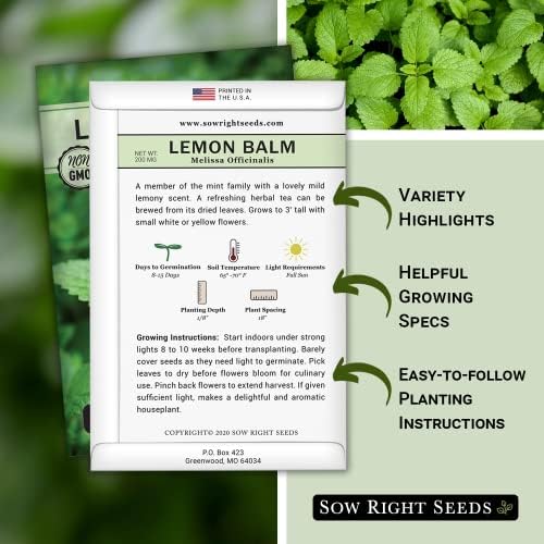 Sow Right Seeds - Lemon Balm Seed for Planting Perennial Medicinal Herb 3pk - Image 2