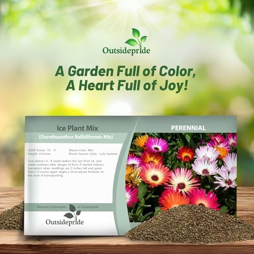 Outsidepride Mix Ice Plant Seeds - 5000 Pcs Perennial, Drought Tolerant Ground Cover Seeds for Planting Vibrant Trailing Blooms, Ideal for Sunny Gardens & Xeriscape Landscaping - Image 4