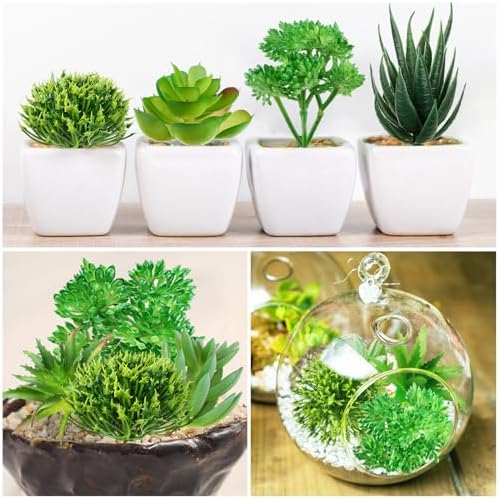 QUOZUO Green Succulent Plants, 6pcs Mini Fake Succulents Plants for DIY Crafting Home Floral Wall Office Decoration (excluding pots) - Image 7