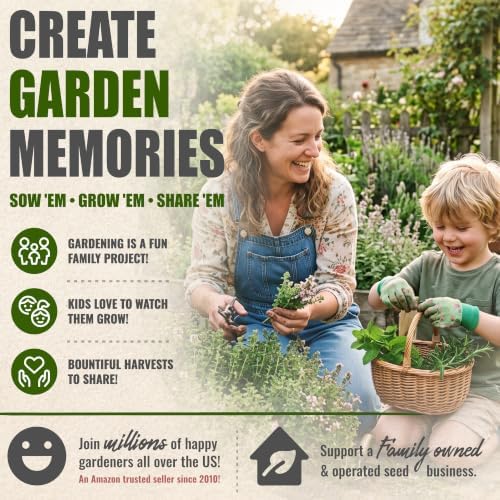 Seed Needs Thyme Seeds to Plant an Herb Garden - 5 Packs - Image 6