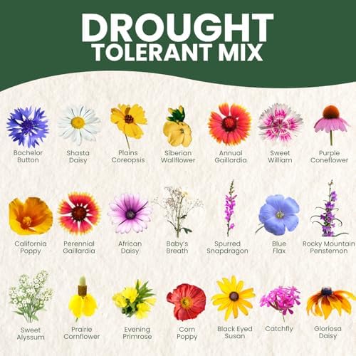 Drought Tolerant Mix – 22,000 Seeds for Planting – 2026 Season – 1 Ounce Pouch - Image 4