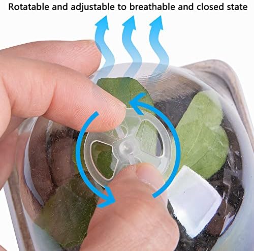 PURPLE STAR 1N 20 Pcs Biodegradable Nursery Pots with Humidity Dome- 2.3 Inch Square Seeding Starter Pot for Planting- Peat Pots for Seedlings Garden Vegetable Flower Germination - Image 4