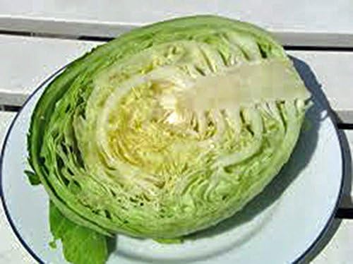 Cabbage Seed, Golden Acre, Heirloom, Non GMO, 25 Seeds, Tasty Healthy Veggie - Image 3