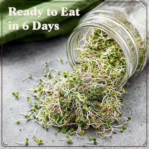 Seedboy Organic Non-GMO Sprouting Seeds (Red Clover) - Image 5