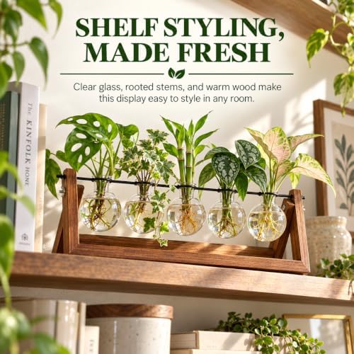 Plant Propagation Stations with Wooden Stand & 5 Glass Bulb Vases - Image 5